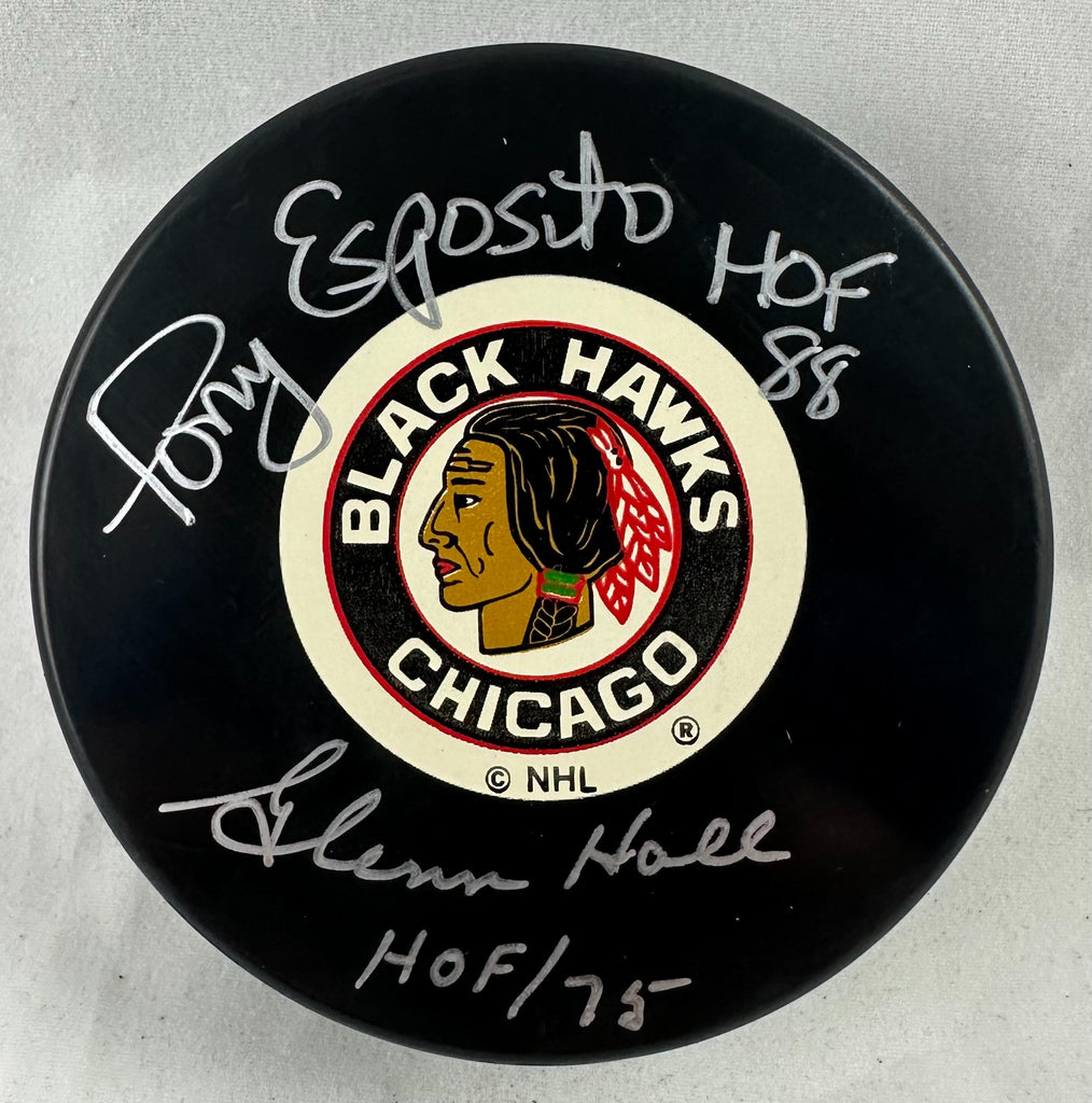 Beckett Tony Esposito Hof 1988 Signed Chicago Blackhawks 8x10 White Jersey  Photo