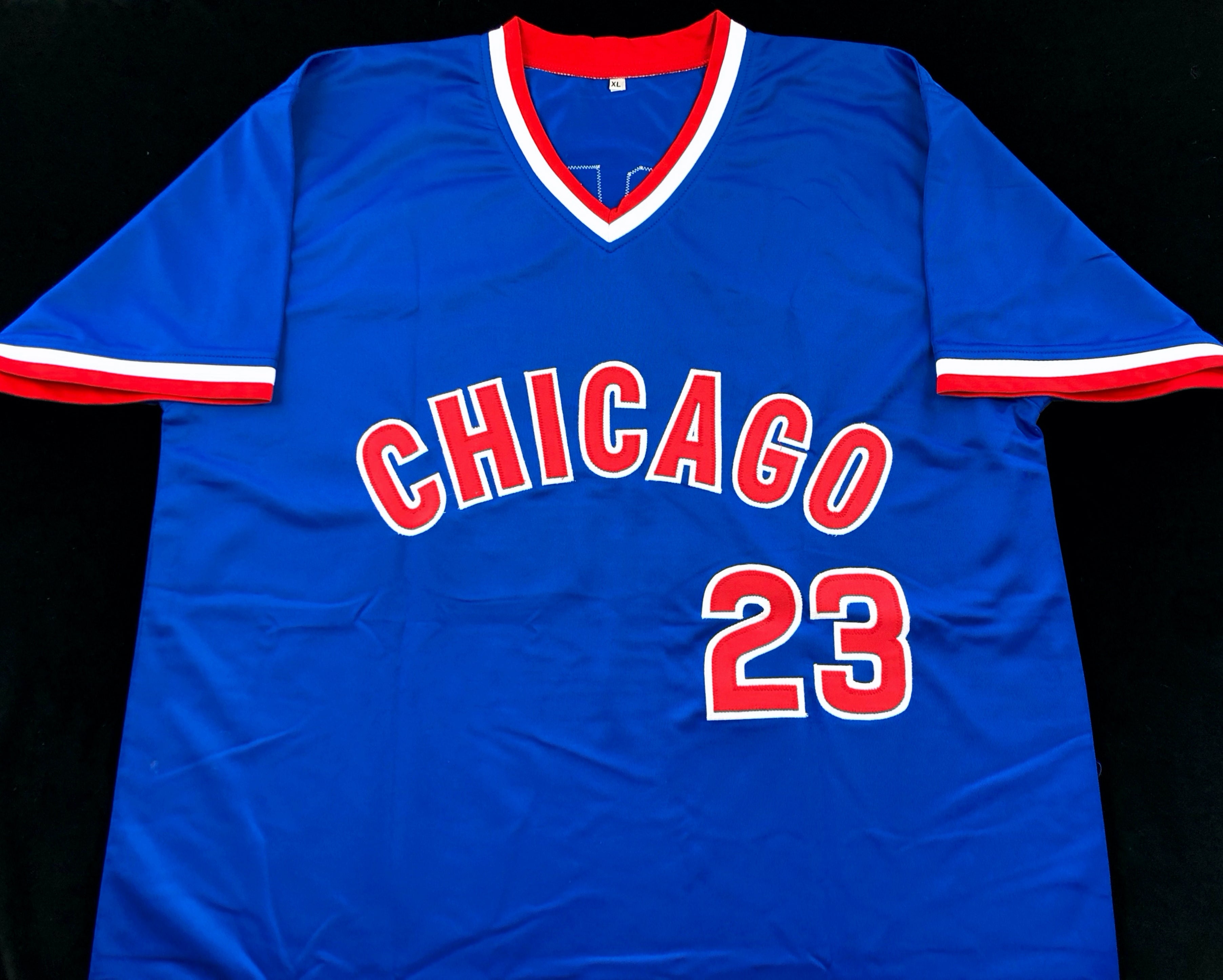 Ryne Sandberg Autographed Blue Baseball Stat Jersey with JSA COA – HUMBL  Authentics